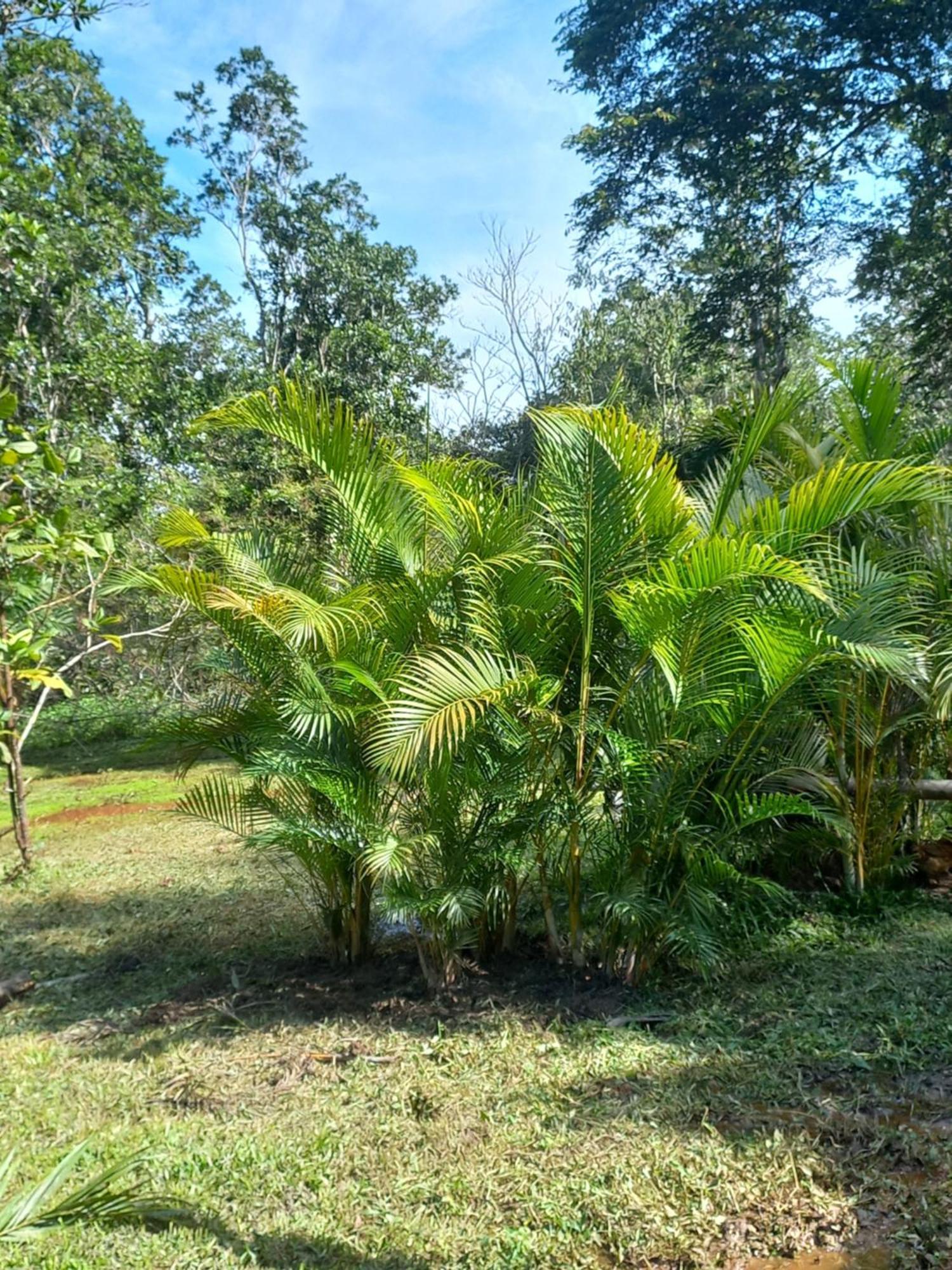 Recanto Dos Lobosco Villa Paraty Exterior photo