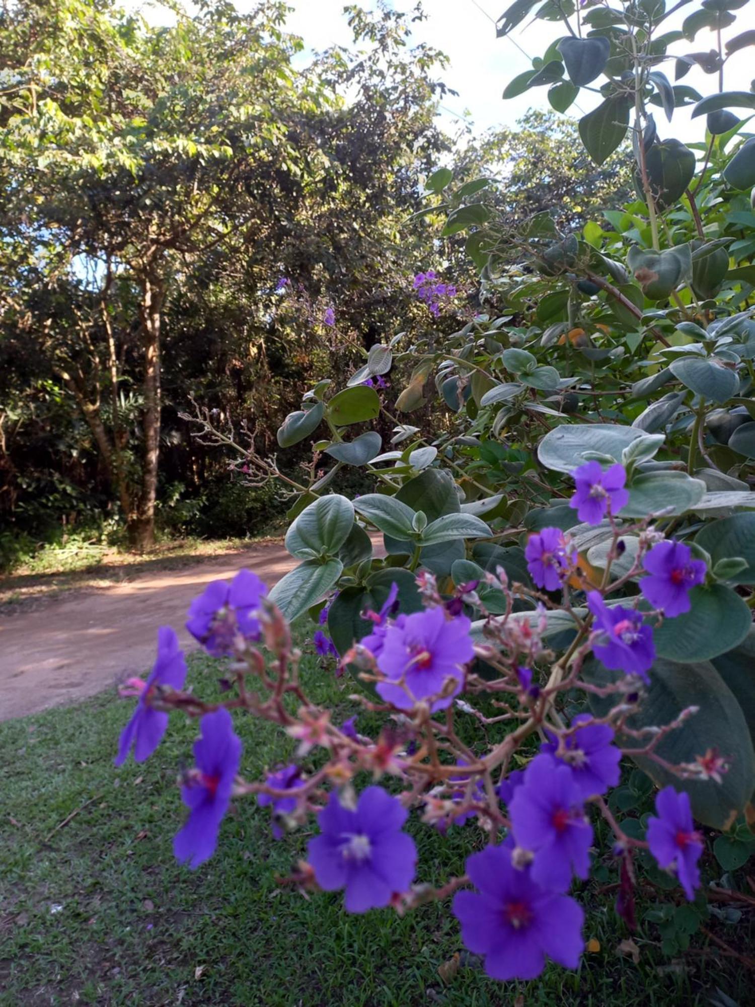 Recanto Dos Lobosco Villa Paraty Exterior photo